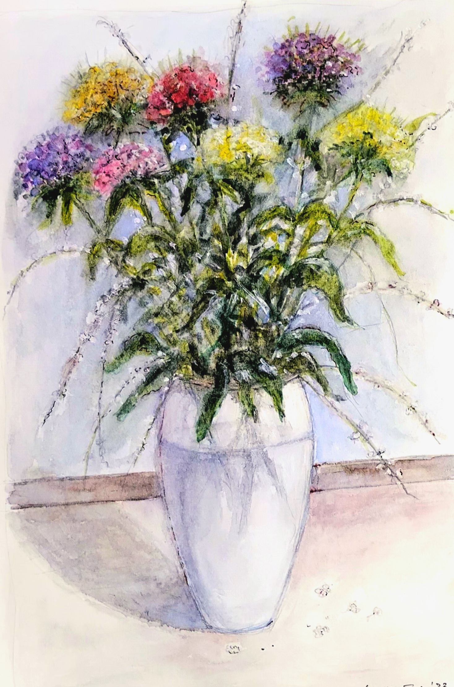 Carnations of the poet