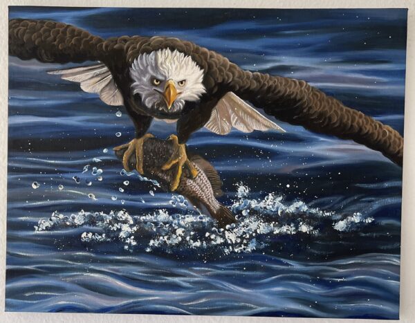 White head eagle