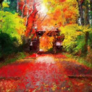 Path of Fall