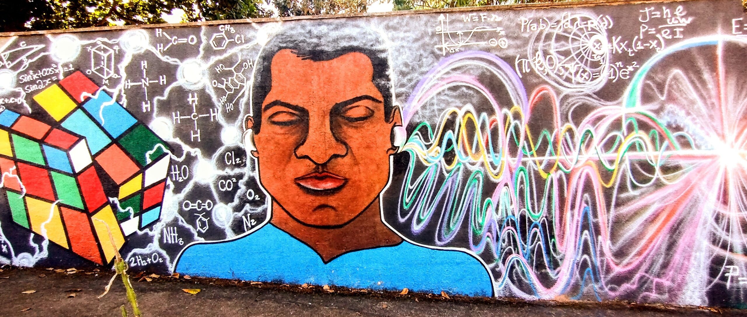 Multiplicidades da mente