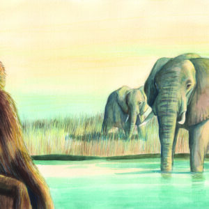 Elephants