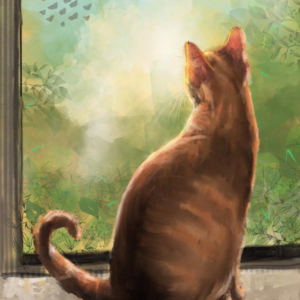 Bird Watching