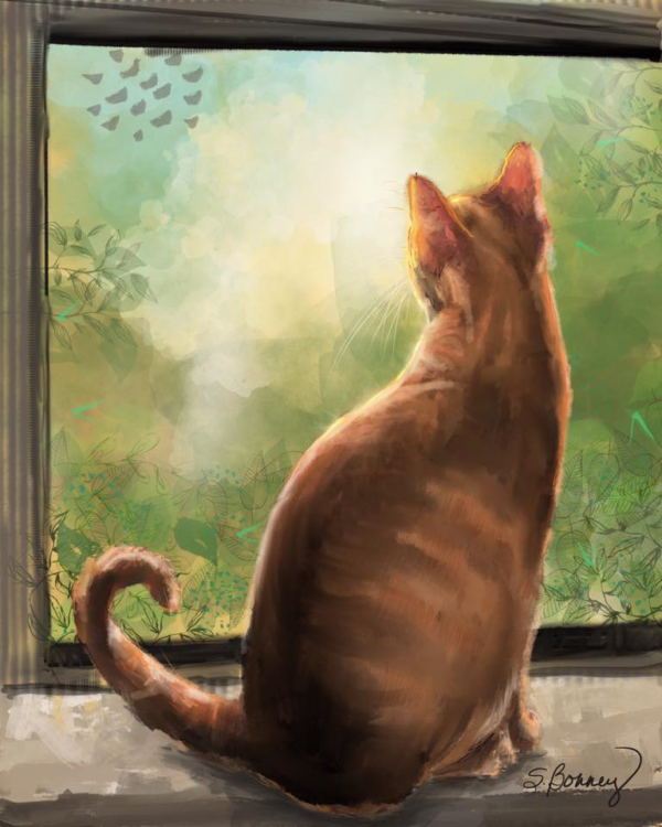 Bird Watching