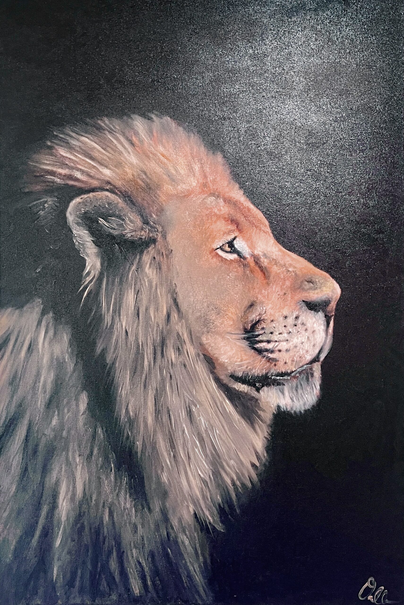 Lion Portrait