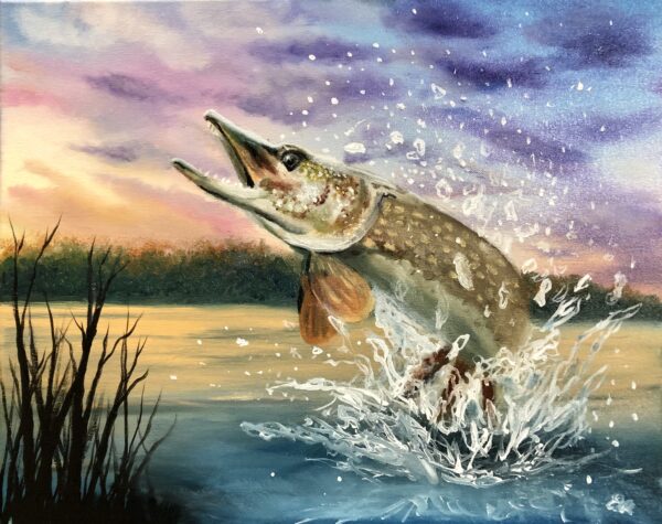 Northern Pike