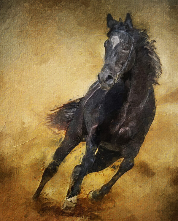 Untamed Spirit