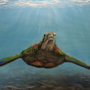 Sea Turtle
