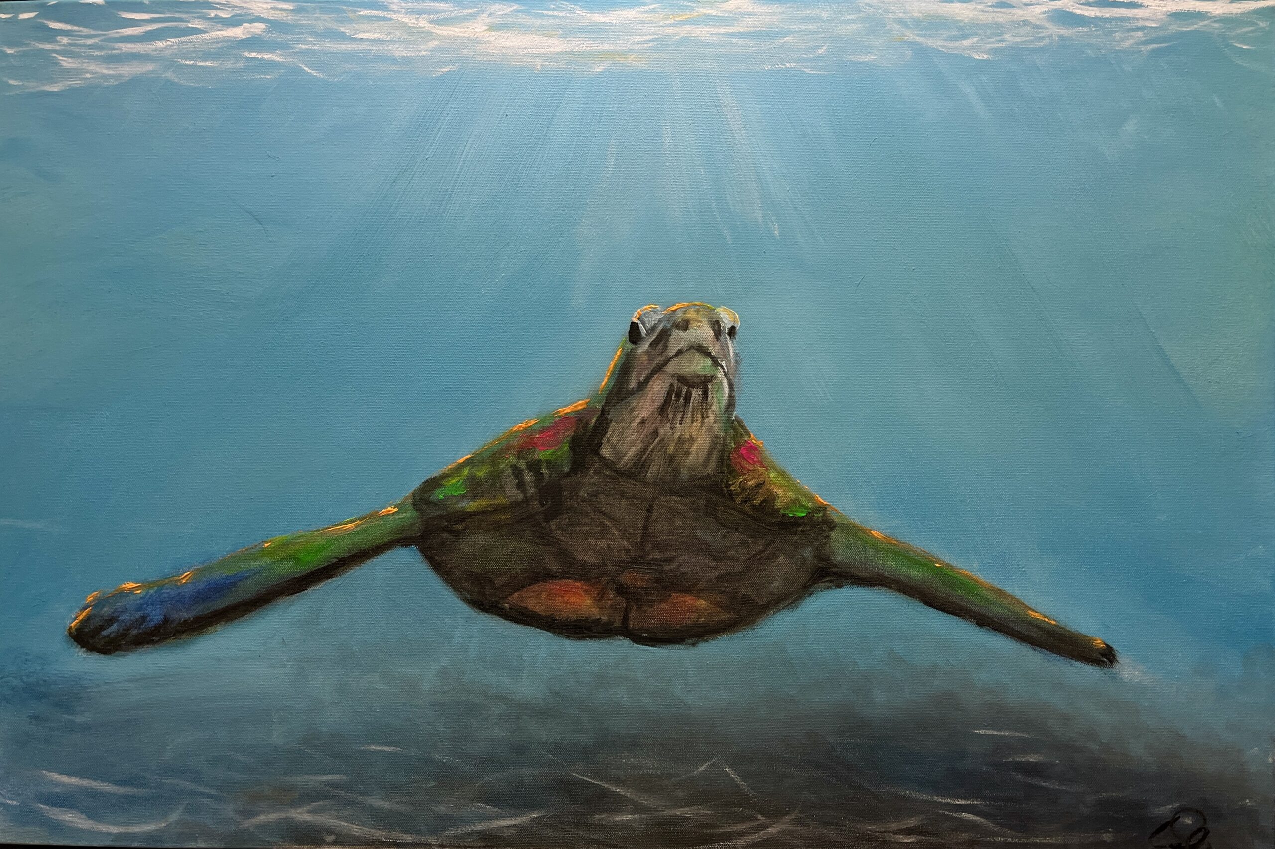 Sea Turtle