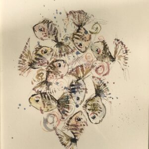 Fish Spiral