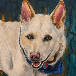White Shepherd
