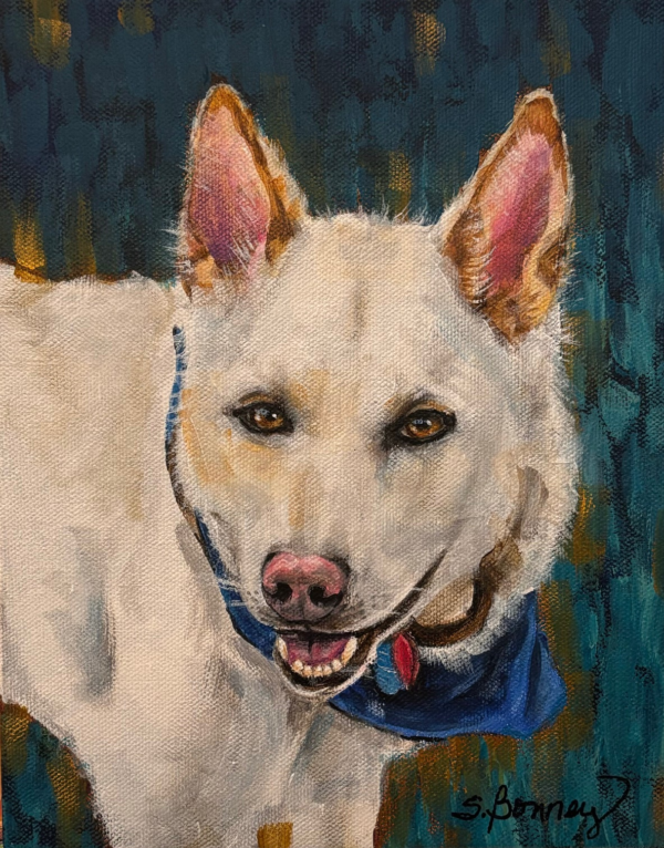 White Shepherd