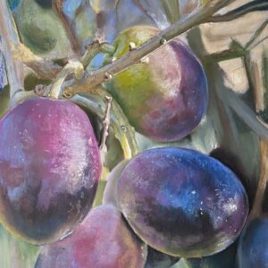 Profumo di olive