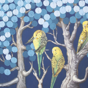 Budgies
