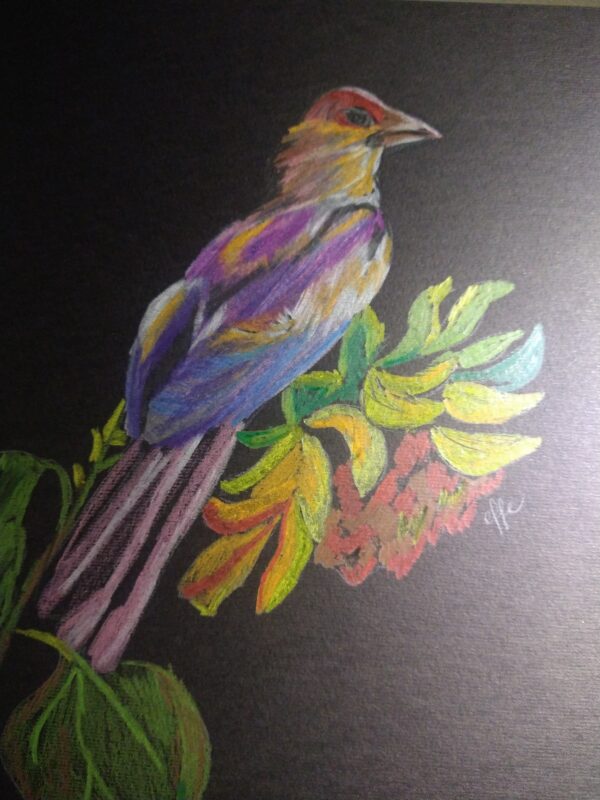 Bird