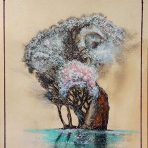 cherry blossom