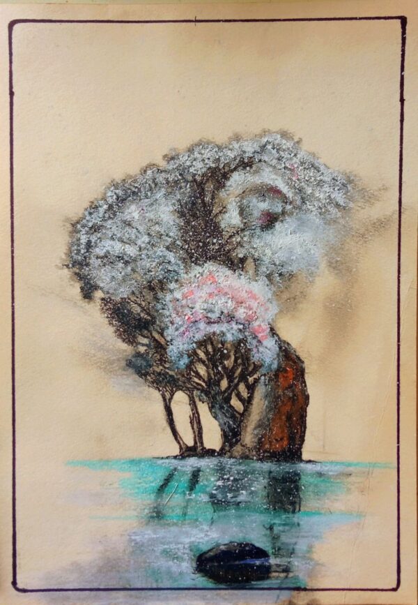 cherry blossom