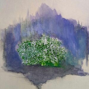 jasmine bloom
