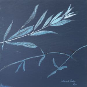 Discernimento 2