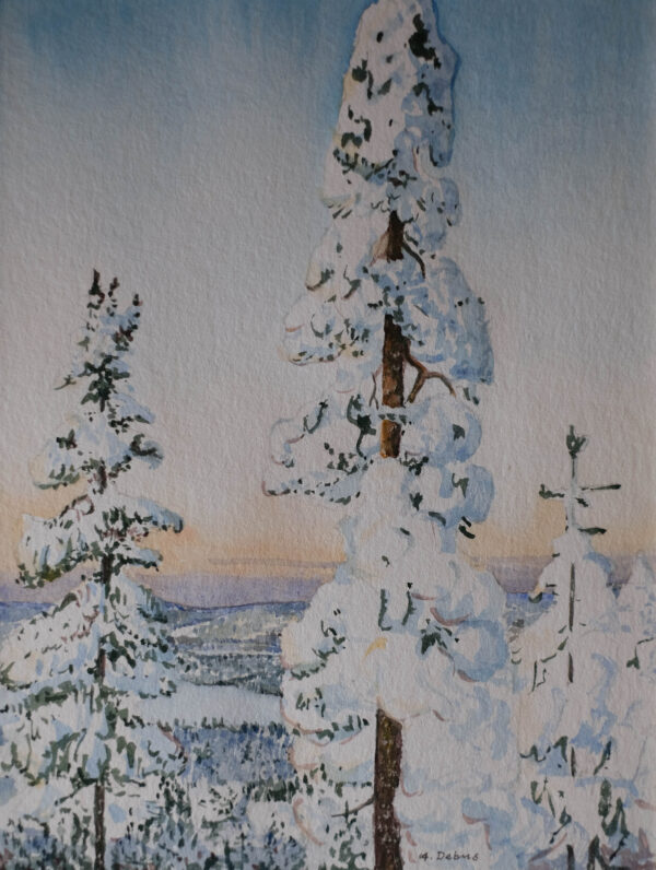 Juutuanjoki, Inari