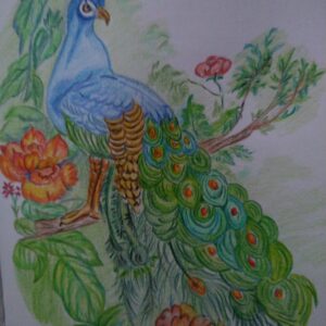 Lino