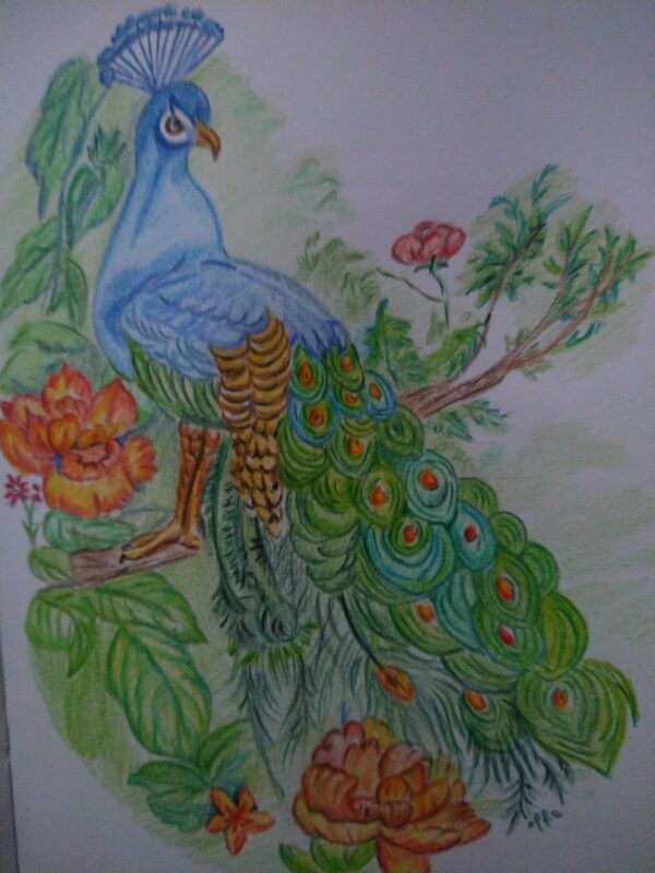 Lino