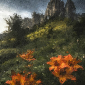 Blooming in the Highlands