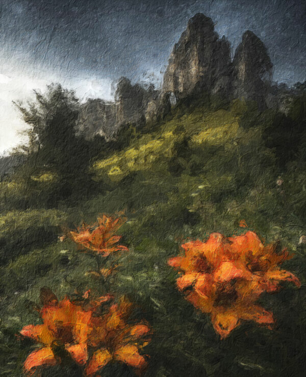 Blooming in the Highlands