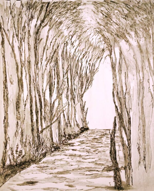 alley autumn