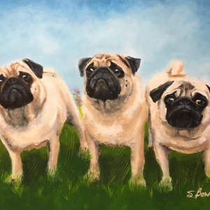 Pugs in Spring