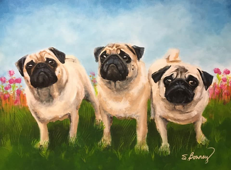 Pugs in Spring