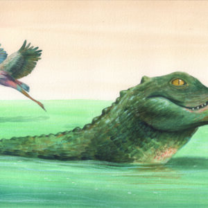 Alligator